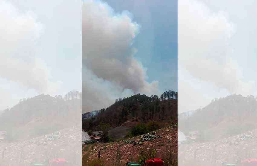 Bomberos sufren graves quemaduras en incendio Forestal