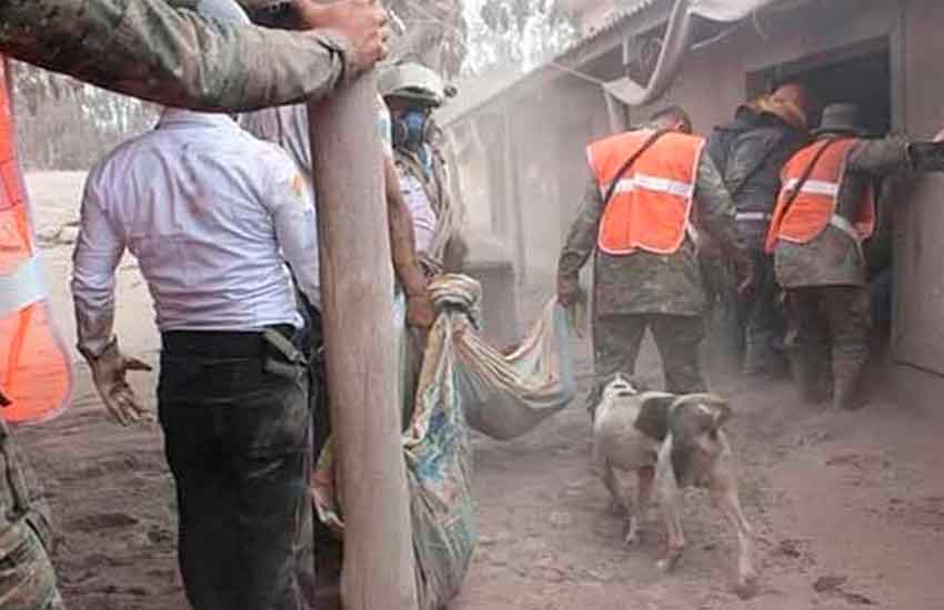 Bomberos mexicanos viajan a Guatemala