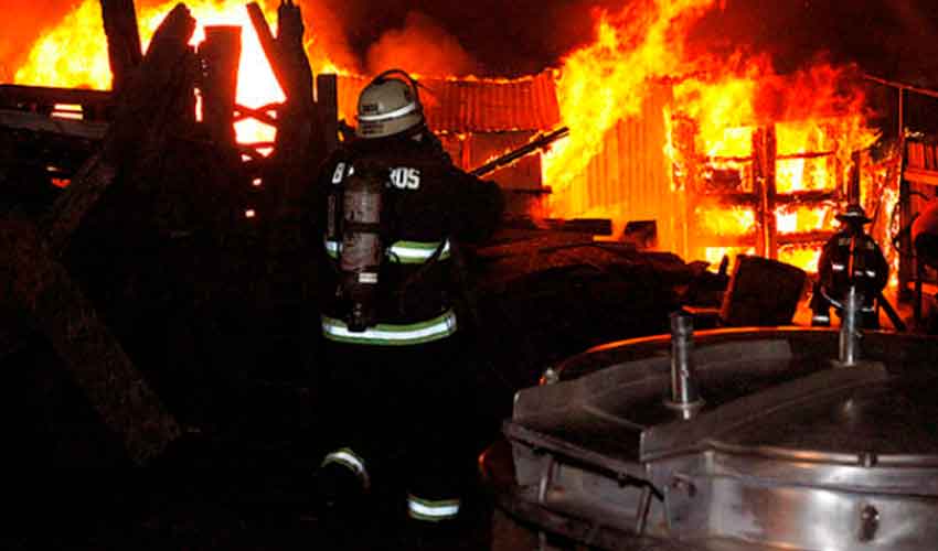 Incendio destruyó un galpón criadero de cerdos