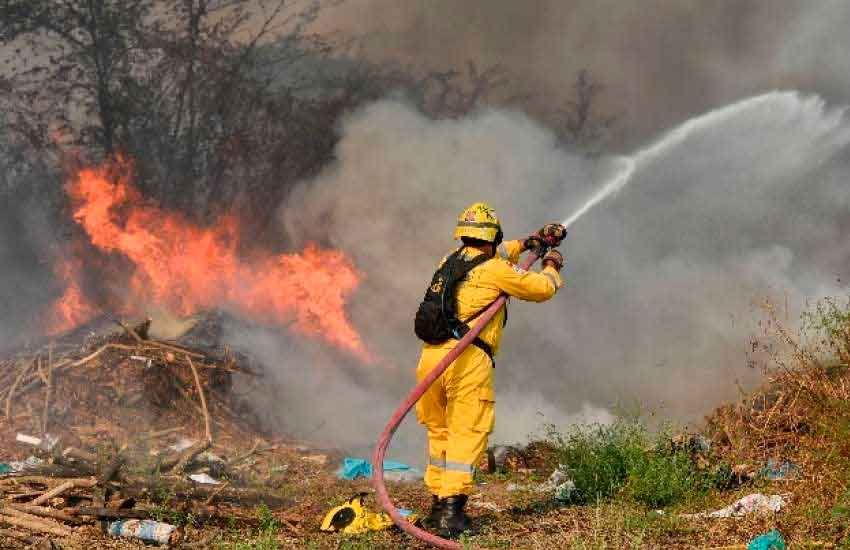 Bomberos controlaron incendio forestal en Guayaquil