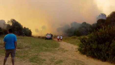 Está controlado el incendio de Villa Gesell