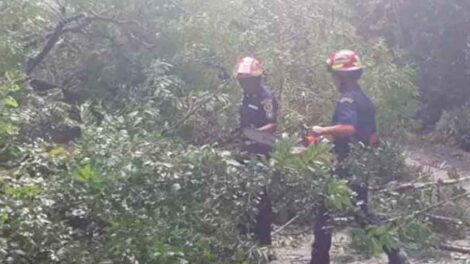 Roban equipo a los Bomberos Municipales de Sayaxché