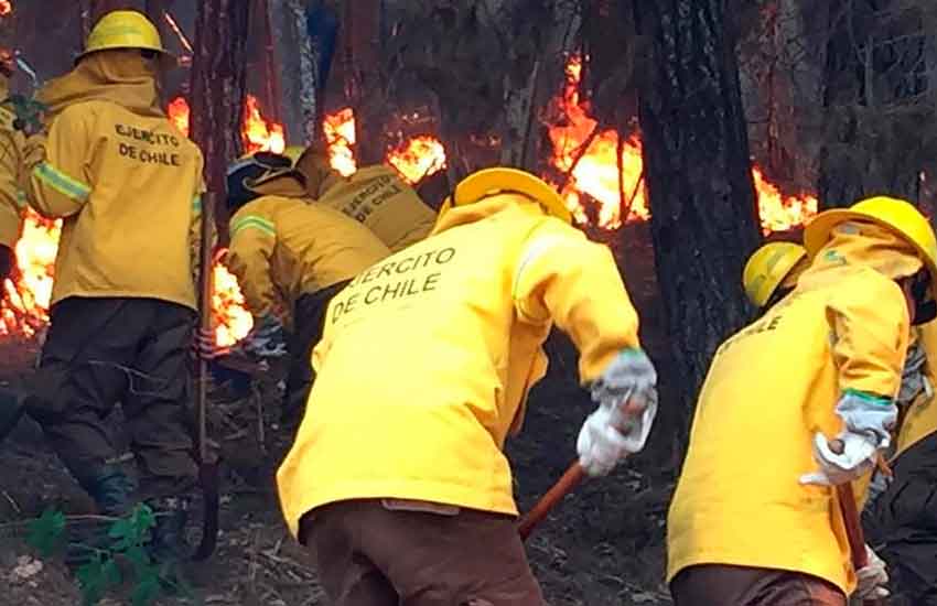 Decretan estado de catástrofe en Chile por incendios forestales