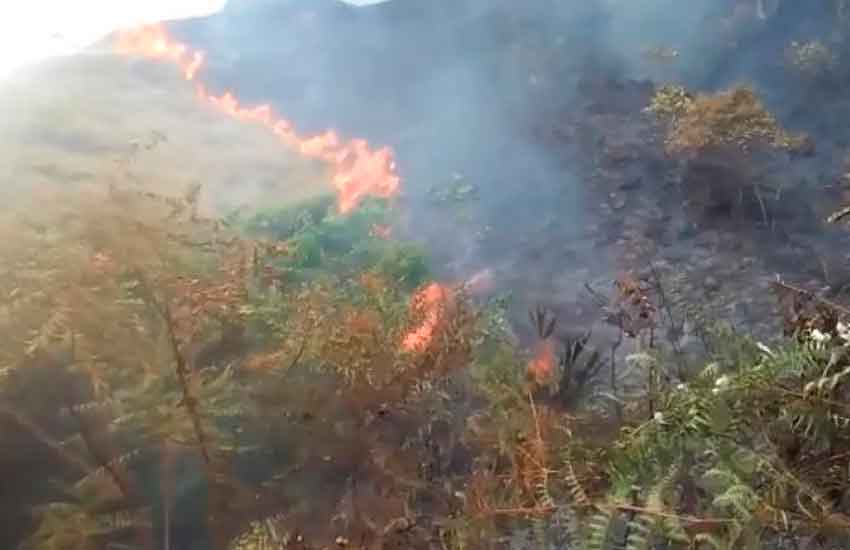 Mueren dos voluntarios que ayudaban a extinguir incendio forestal