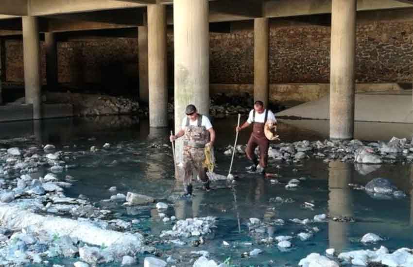 Bomberos rescatan perrita de canal de aguas residuales