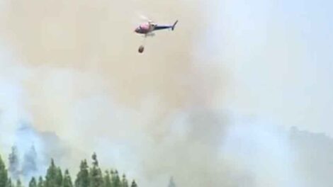 Dos bomberos heridos y más de mil hectáreas calcinadas