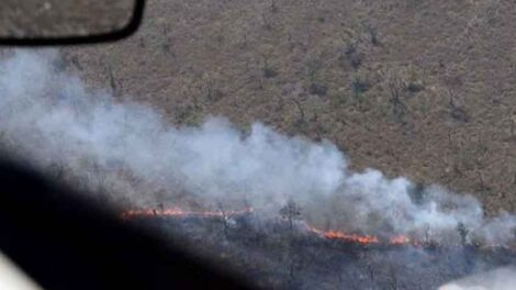 Declaran “estado de desastre” en Bolivia por incendios forestales