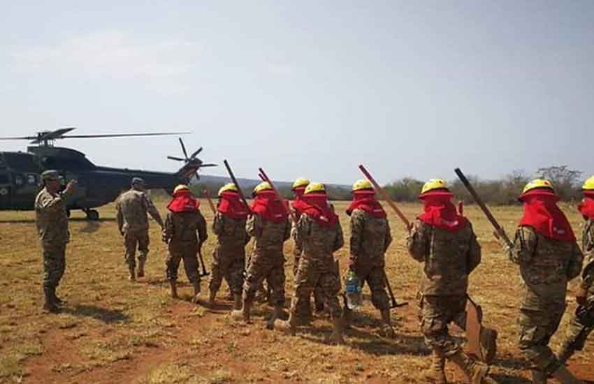 Los voluntarios que ayudan a mitigar los incendios en Bolivia