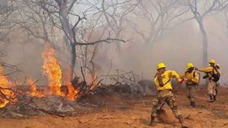 Tres bomberos que combatían los incendios forestales mueren ahogados