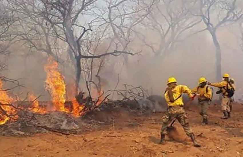 Tres bomberos que combatían los incendios forestales mueren ahogados