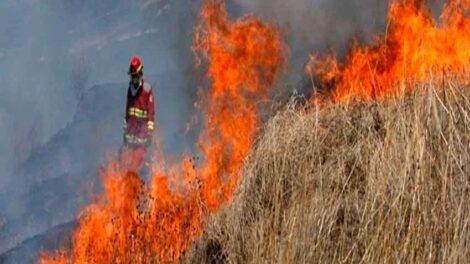 Promueven crear brigadas de bomberos forestales por regiones