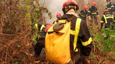 Gobernador atribuye a chamanes la extinción de incendio forestal