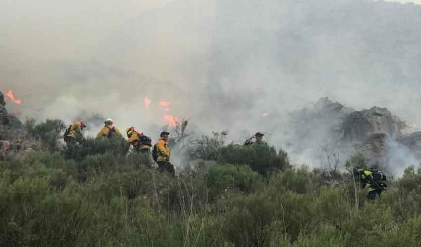 Bomberos heridos en incendio forestal en Sierra de la Ventana