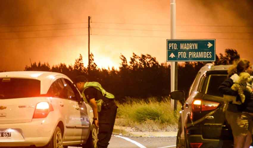 Importante incendio forestal se desarrolla en Puerto Madryn