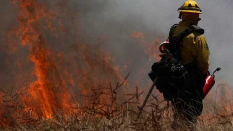 Falleció bombero forestal que sofocaba llamas en Henri Pittier