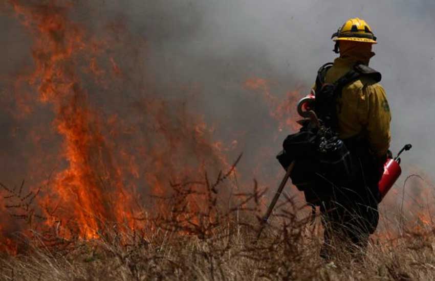 Falleció bombero forestal que sofocaba llamas en Henri Pittier