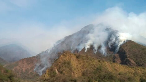 Incendios Forestales de Alta Montaña en Salta y Tucumán
