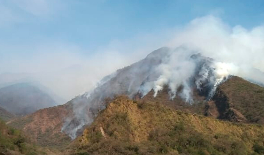 Incendios Forestales de Alta Montaña en Salta y Tucumán