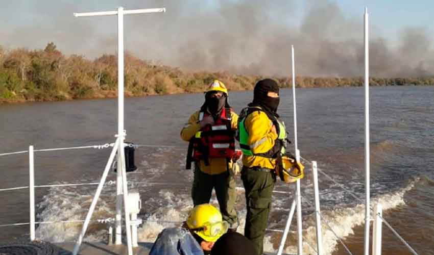 Ardieron más de 40 hectáreas en una isla del río Uruguay