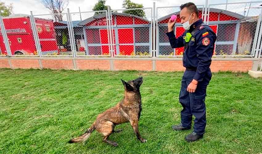 nuevo centro de entrenamiento canino del Cuerpo de Bomberos de Bogotá