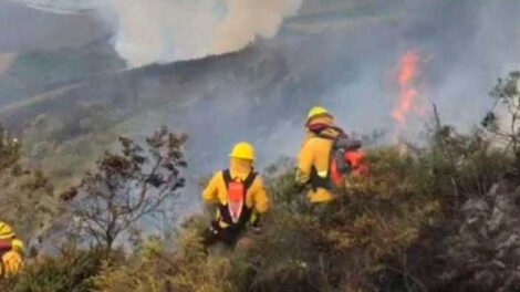 Bomberos de Quito controlaron el incendio forestal en el cerro Atacazo