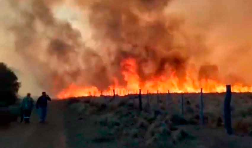 Incendios Forestales: El fuego no da respiro a los bomberos en San Luis