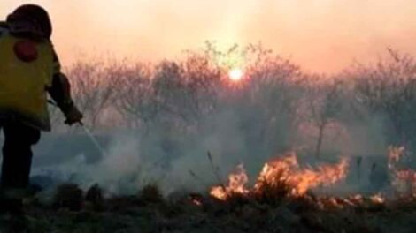 Alerta Amarilla por Incendios Forestales en Corrientes y Misiones