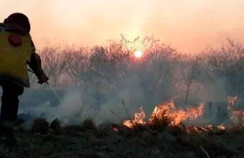 Alerta Amarilla por Incendios Forestales en Corrientes y Misiones