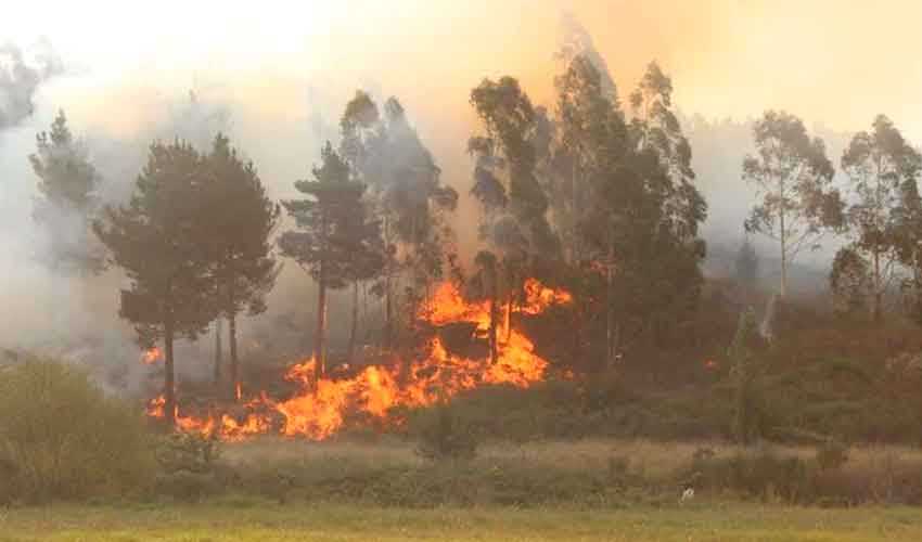 Tandil: los bomberos trabajan contrarreloj para sofocar el fuego