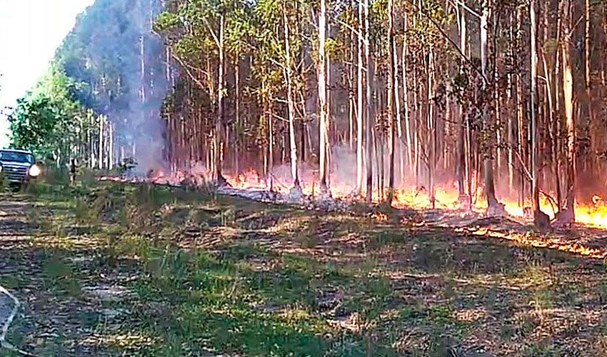 La actividad de bomberos y el medio ambiente