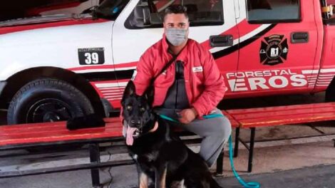 Bomberos voluntarios sumó un nuevo can al grupo K-9