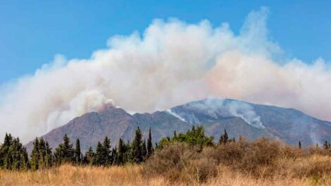 Dos bomberos resultan heridos en las tareas de extinción del incendio