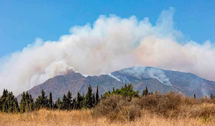 Dos bomberos resultan heridos en las tareas de extinción del incendio