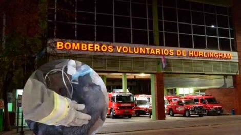 Bomberos de Hurlingham revivieron a un perro con RCP