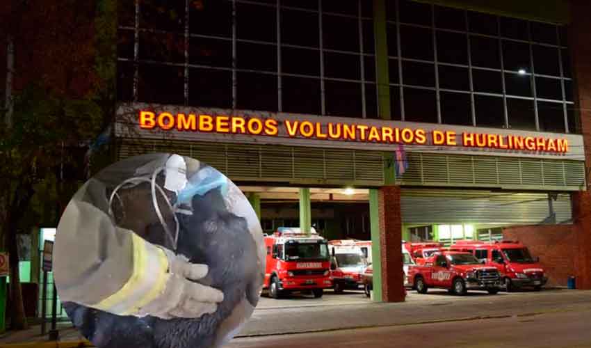 Bomberos de Hurlingham revivieron a un perro con RCP