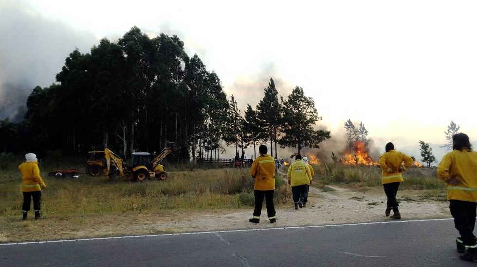 Cuatro bomberos tuvieron que ser hospitalizados