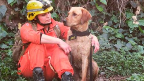 Bomberos despidieron a Luana Ludueña con un "Sirenazo"