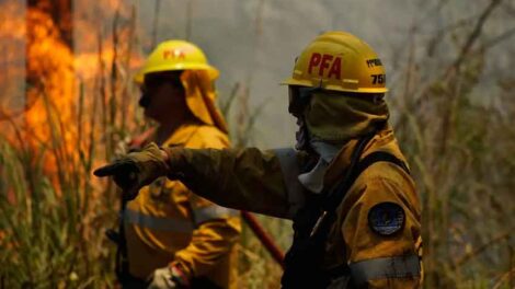 Ezeiza: más de 150 bomberos controlaron el fuego