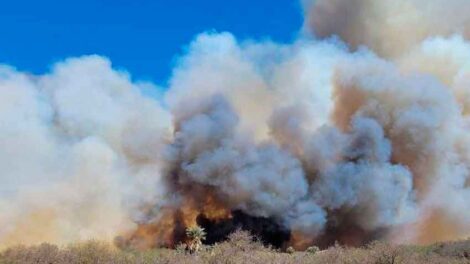 Bomberos intentan contener un foco en San Francisco del Chañar