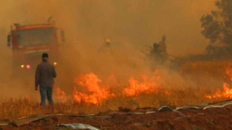 Declaran Alerta Roja para la comuna de Marchigüe por incendio forestal