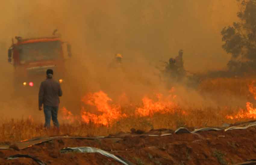 Declaran Alerta Roja para la comuna de Marchigüe por incendio forestal