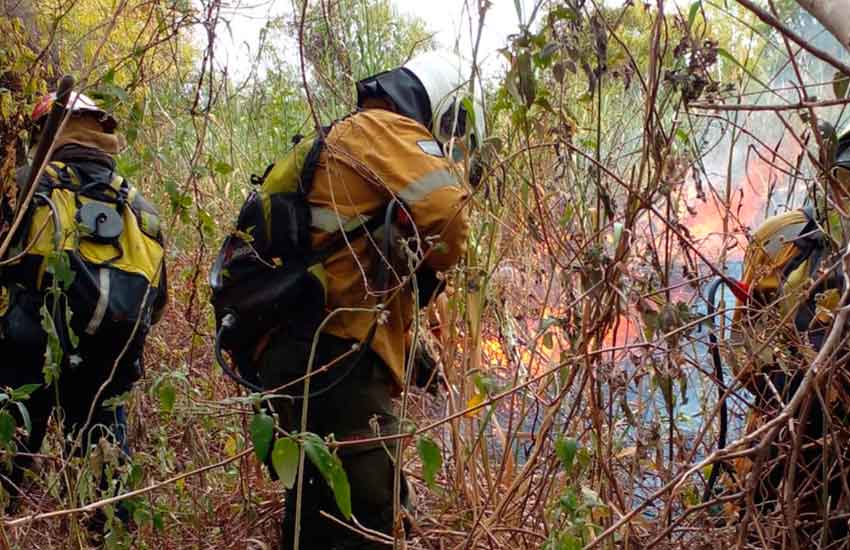 Intenso trabajo de Bomberos para combatir los incendios en la isla Puente de Paraná