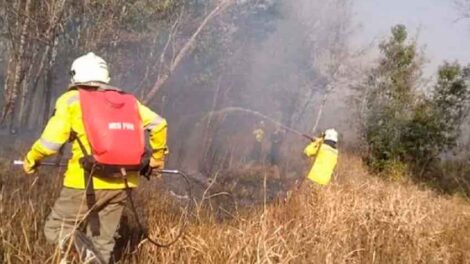 Cuatro bomberos voluntarios internados por agotamiento