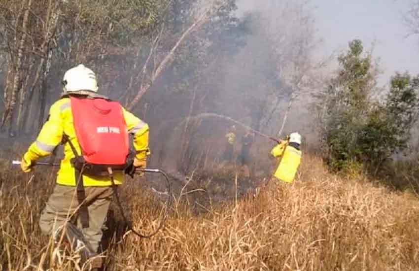 Cuatro bomberos voluntarios internados por agotamiento