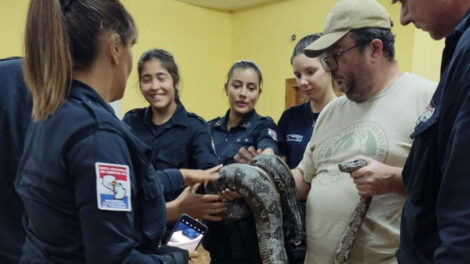 Bomberos fueron capacitados en identificación de serpientes