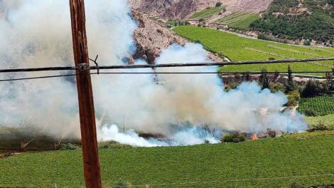 CONAF destituye a su director regional tras polémica con Bomberos