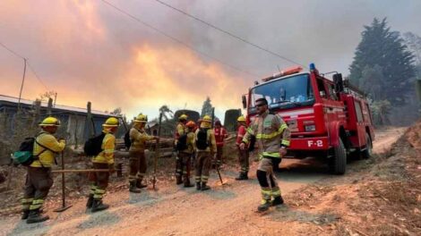 Incendio forestal en Penco sigue fuera de control: sospechan intencionalidad