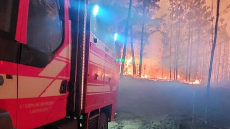 Fuera de control incendio forestal en Laguna Verde-Las Docas