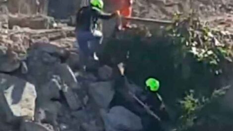 Bomberos Voluntarios de Bernal rescataron un perro de un arroyo