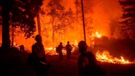 Desmienten una grave acusación contra Bomberos Voluntarios Colón